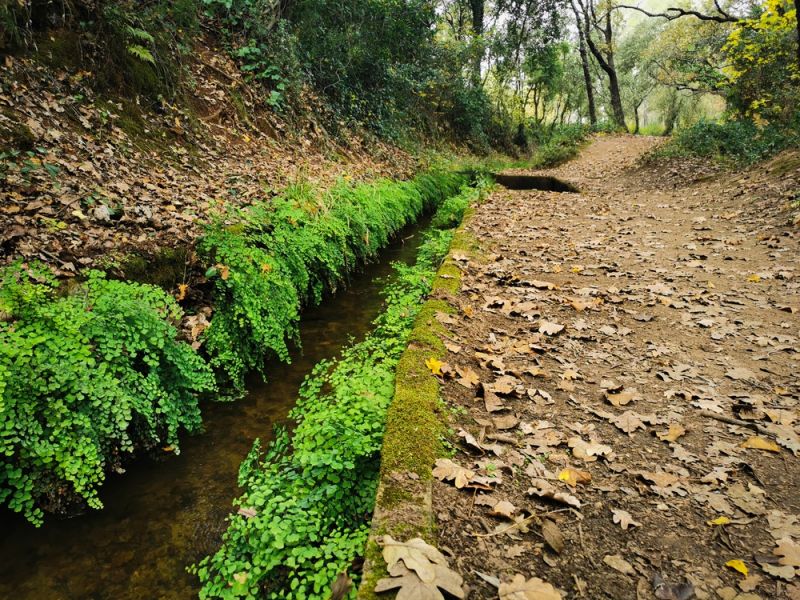 Canal de Carcès