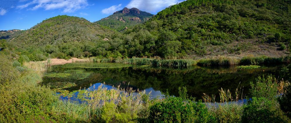 Lac dans l