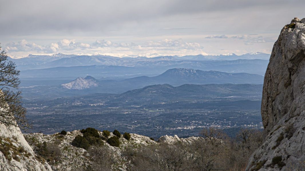 Le Paradis de la Sainte Baume