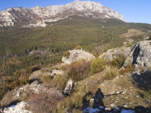 Autour du Bourguet - Le Bourguet - Ruines du Rocher de la Forteresse. En fond, la montagne de Robion
