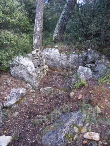 Cabasse historique - Cabasse - Dolmen de la Bouissière