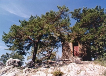 Chapelles de Vérignon - Vérignon - N-D de Liesse cachée parmi les pins et les rochers