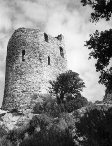 Château de Grimaud - Grimaud - Une des tours du château encore debout
