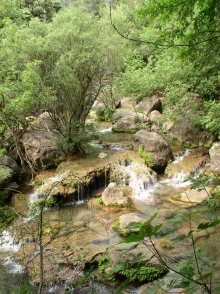 Châteaudouble - Châteaudouble - La Nartuby au fond des gorges