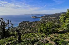 Corniche des Maures - Le Rayol-Canadel - La côte entre le Rayol et le Cap Bénat au fond