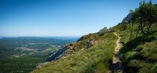 La Sainte Baume - Plan d'Aups - Sentier sous le Jouc de l'Aigle