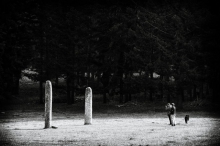 Menhirs de Lambert - Collobrières - Les deux menhirs dressés au milieu de la prairie