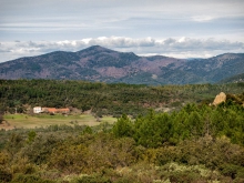 Menhirs de Lambert - Collobrières - Plateau de Lambert vu depuis les hauteurs