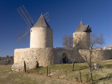 Moulins de Régusse - Régusse - Les deux moulins trônent au milieu des champs comme de véritables seigneurs