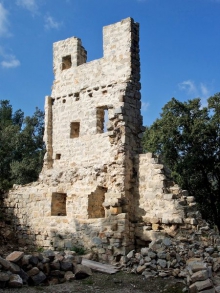 N-D de la Vière - Carnoules - Ruines du castrum cachées dans la végétation