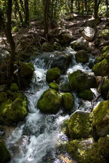 Sources de l'Huveaune - Nans-les-Pins - Source de l'Huveaune