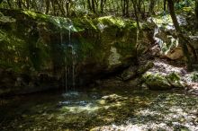 Sources de l'Huveaune - Nans-les-Pins - Ruisseau en amont de la source