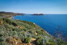 Trident de Poseidon - Ramatuelle - Baie de la Briande entre le cap Lardier et le cap Taillat